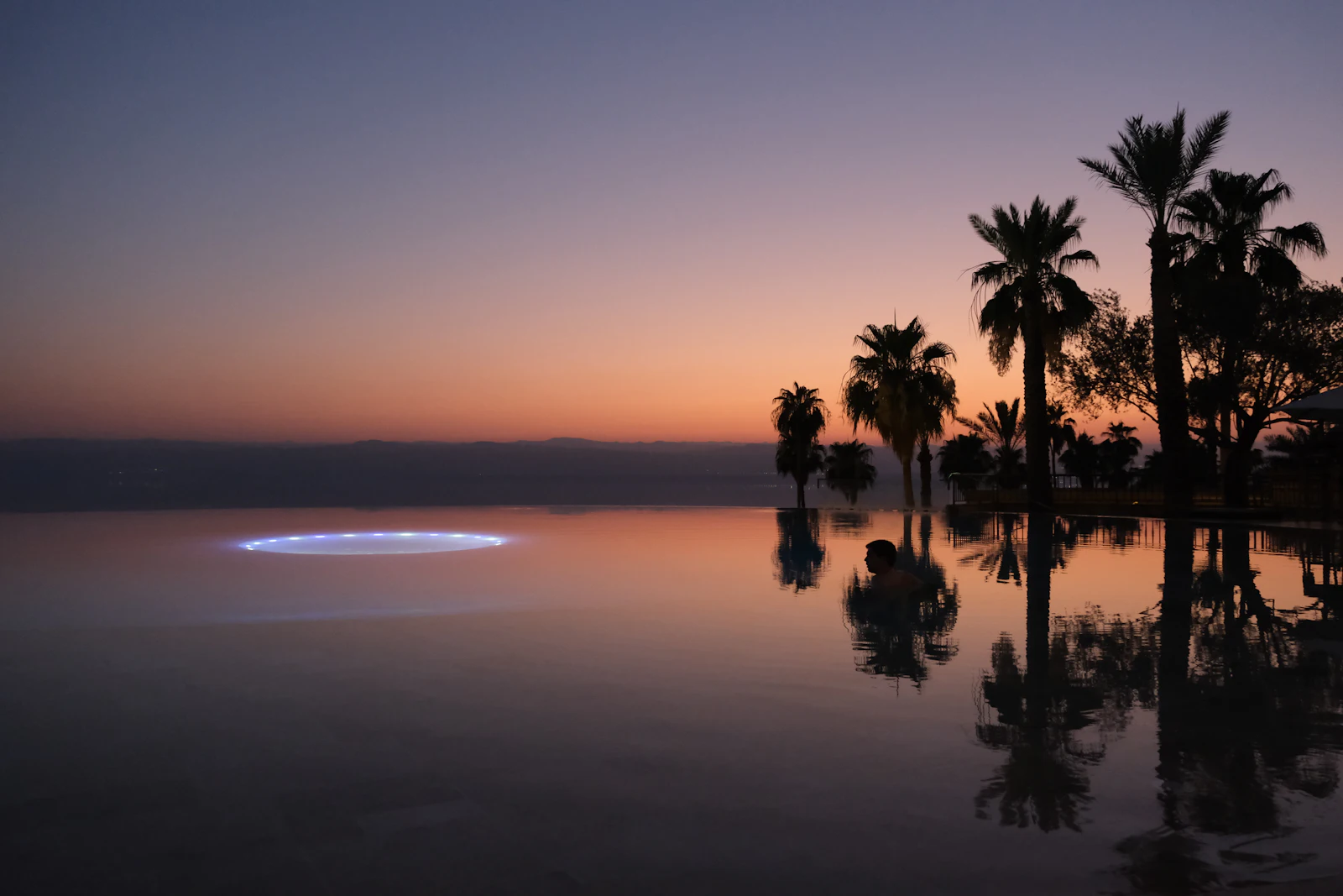 Pool with palm reflections