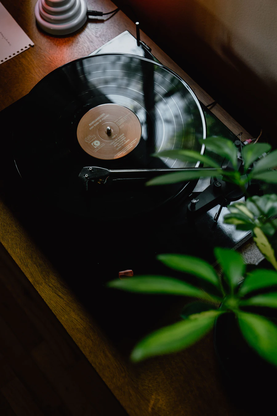 Turntable with plants