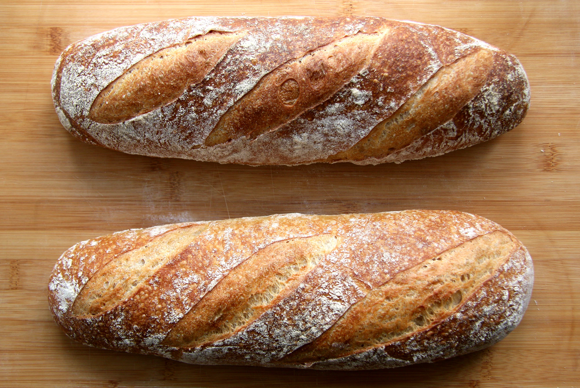 Two freshly baked sourdough loaves
