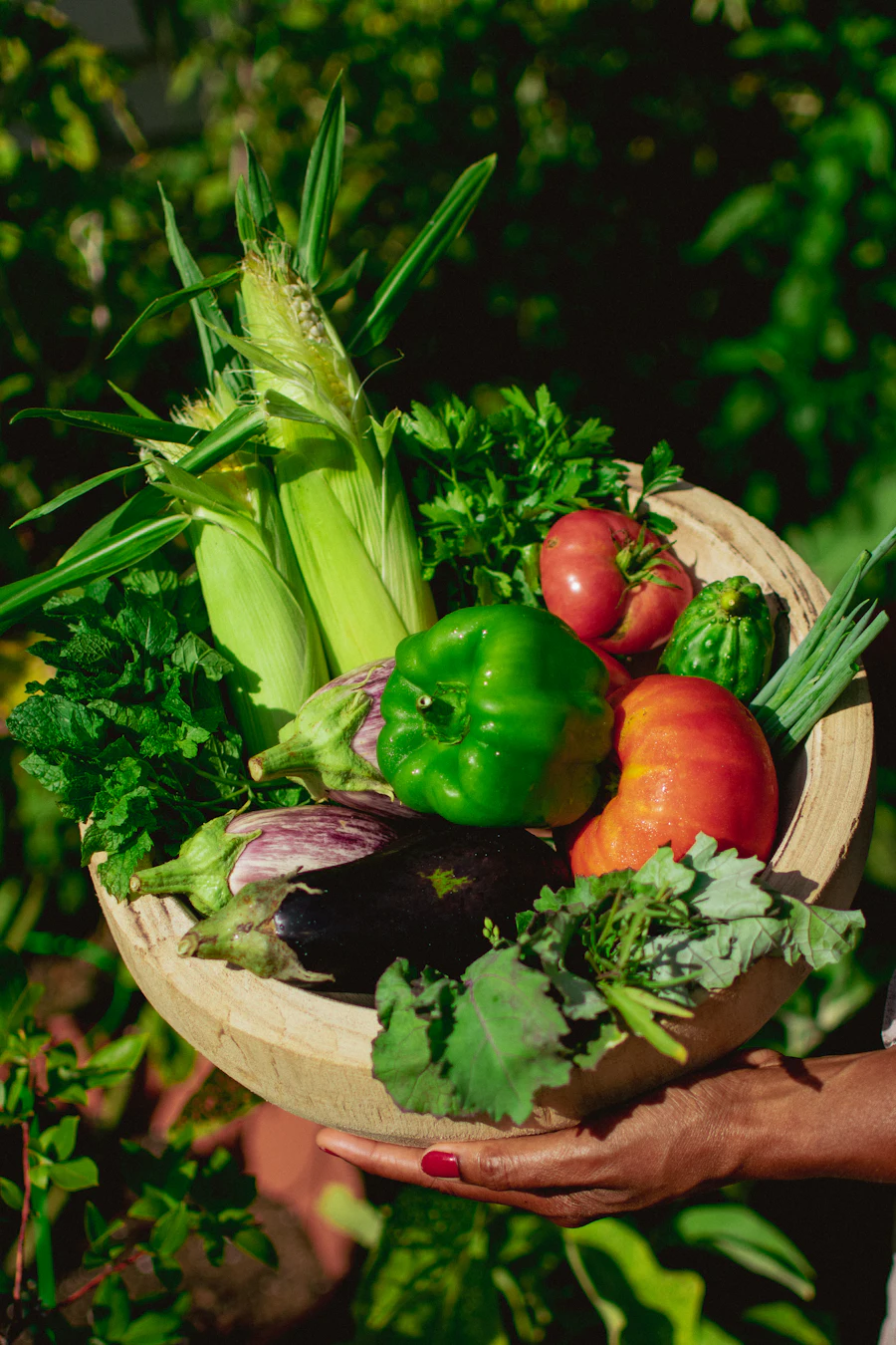 Plate of vegetables