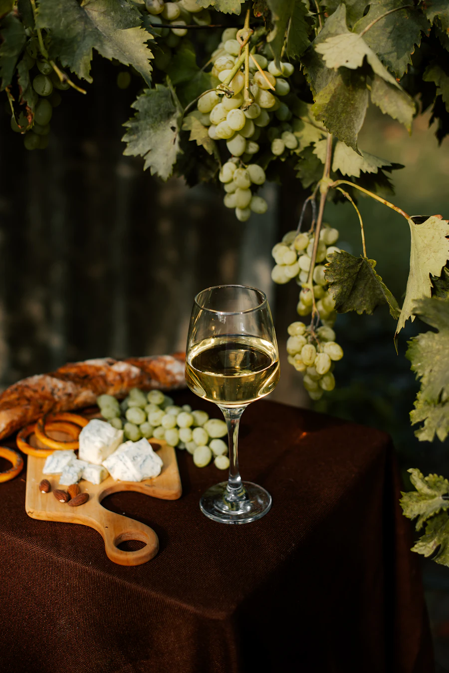 Wine and grapes