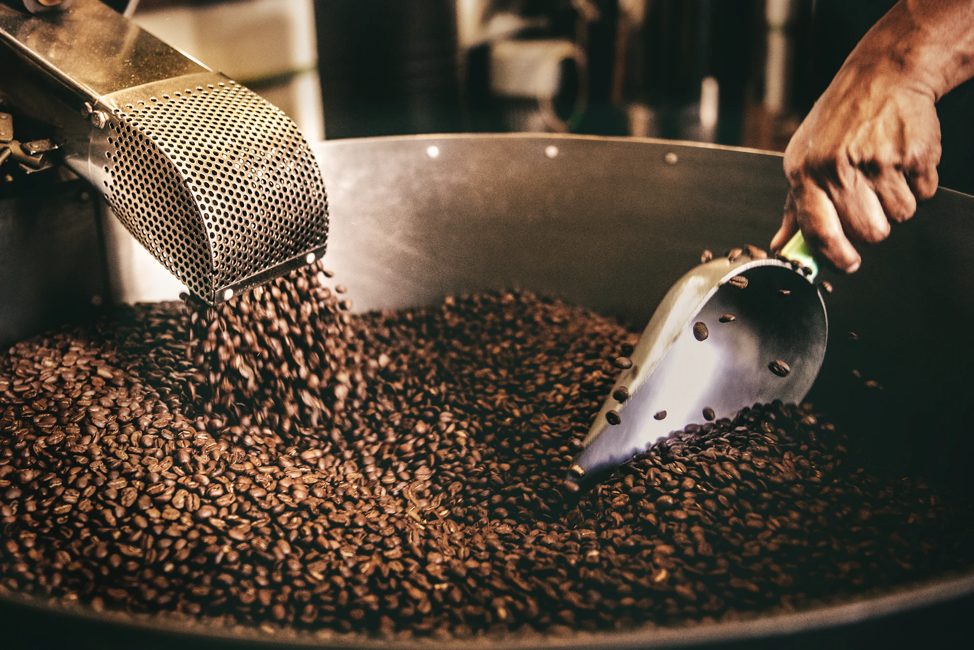 Stirring freshly roasted coffee beans