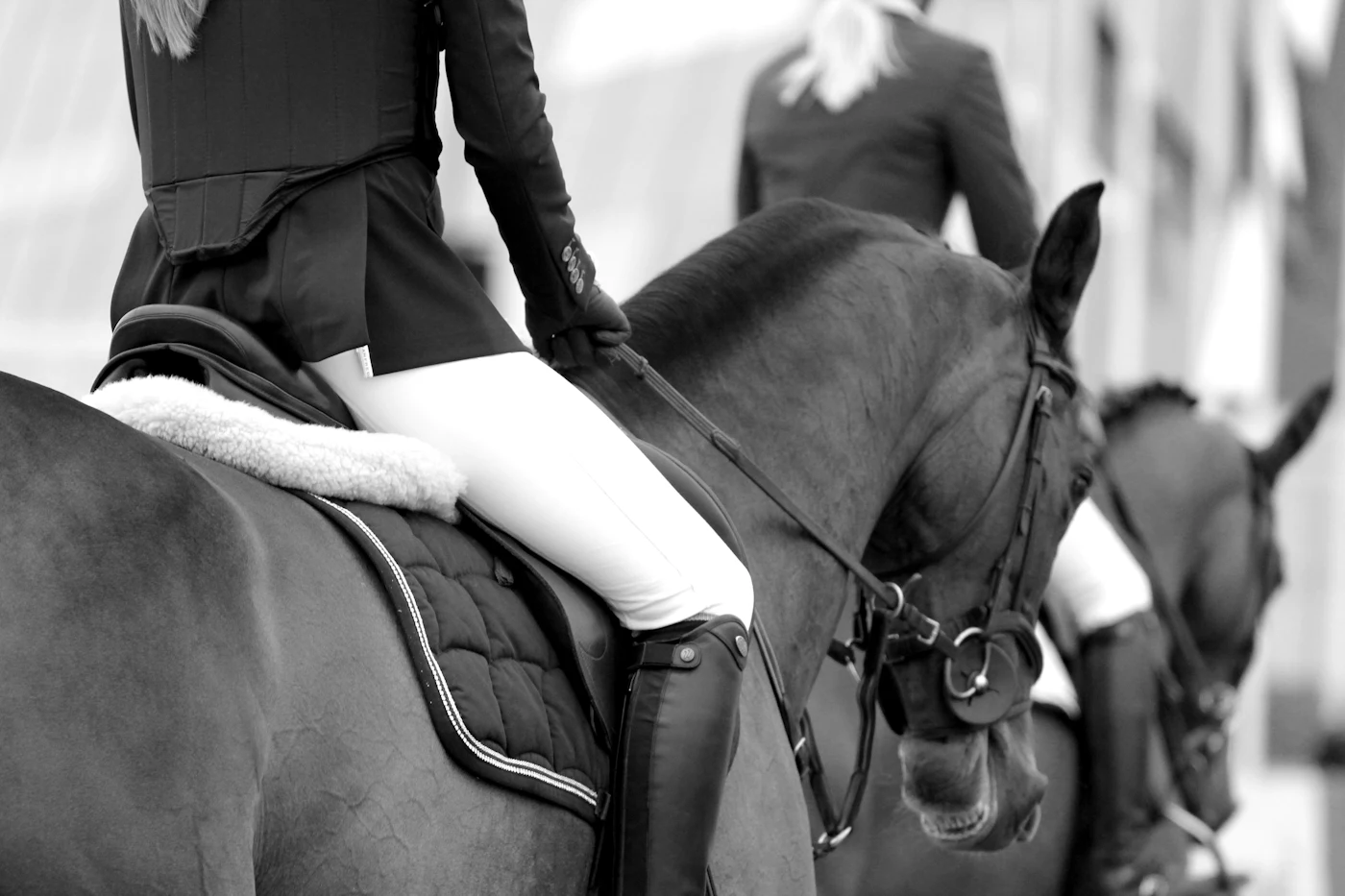 Rider on horseback