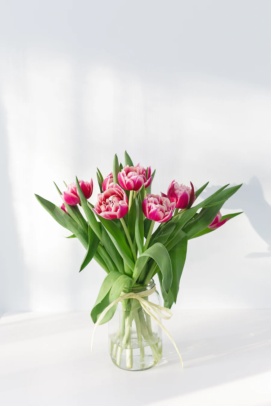 Pink flowers in a vase