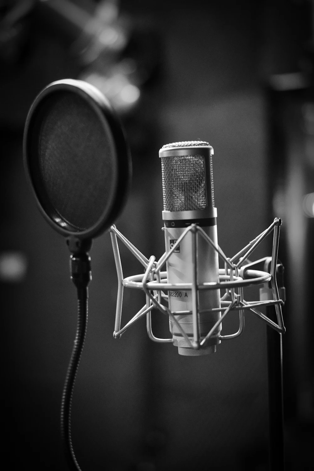 Microphone with pop filter